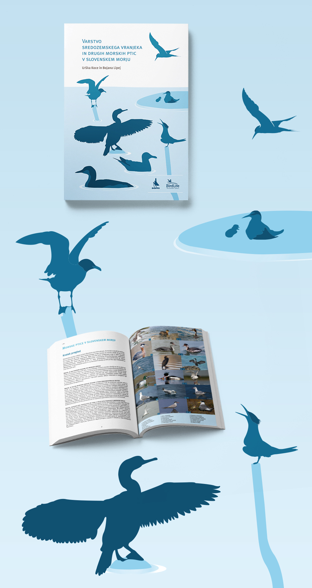 bird shag ILLUSTRATION  Silhouette book design cover design