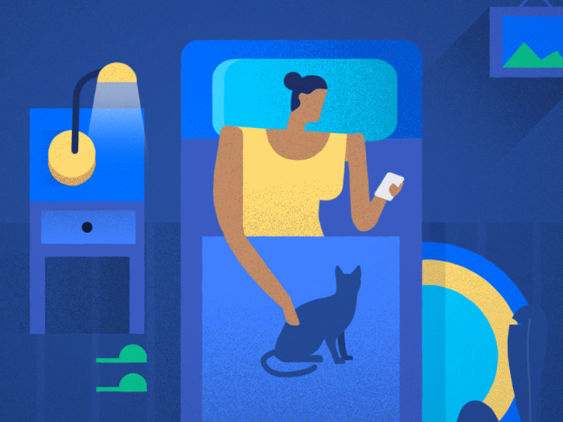 facebook grain flat ILLUSTRATION  security tips for facebook social woman cats night