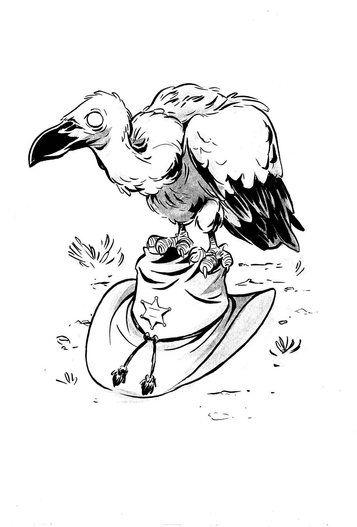 sketch crows skull cactus western cameleon vulture
