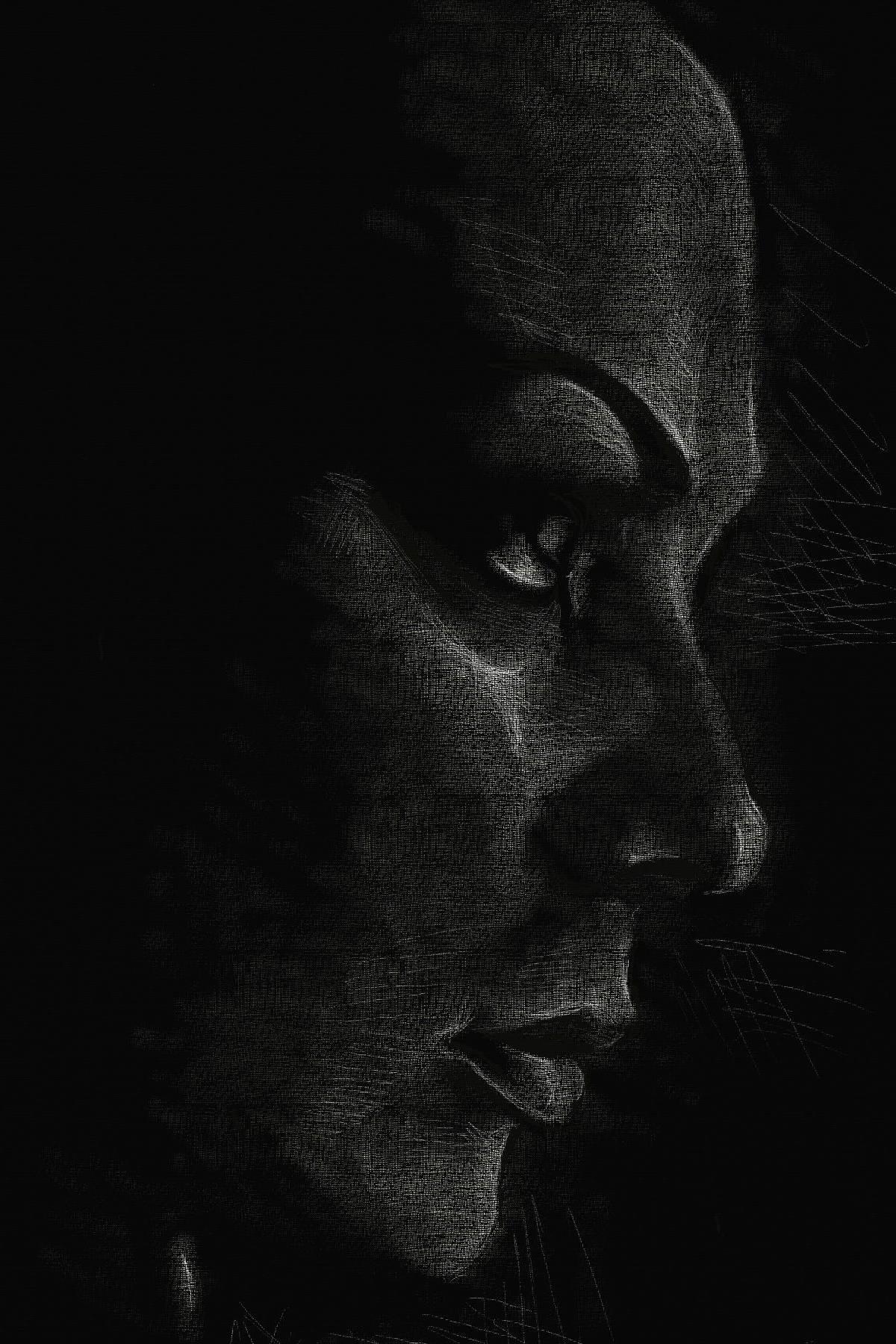 black White shadow light pencil charcol pastel chalk girl boy portrait dark