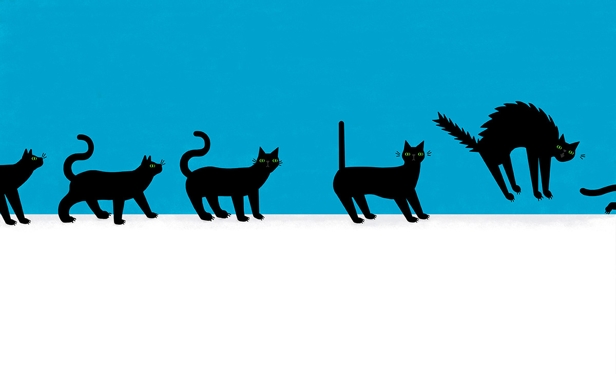 #childrens illustration #Wild Cat cats children book Nature