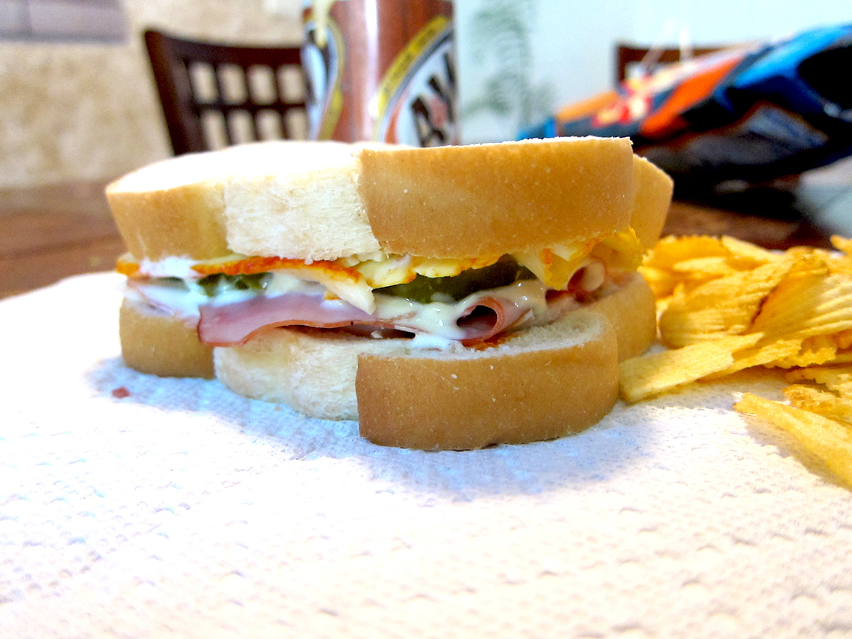 Food  sandwich closeup