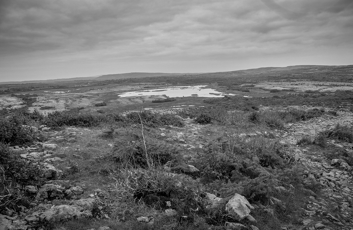Ireland Burren Nature