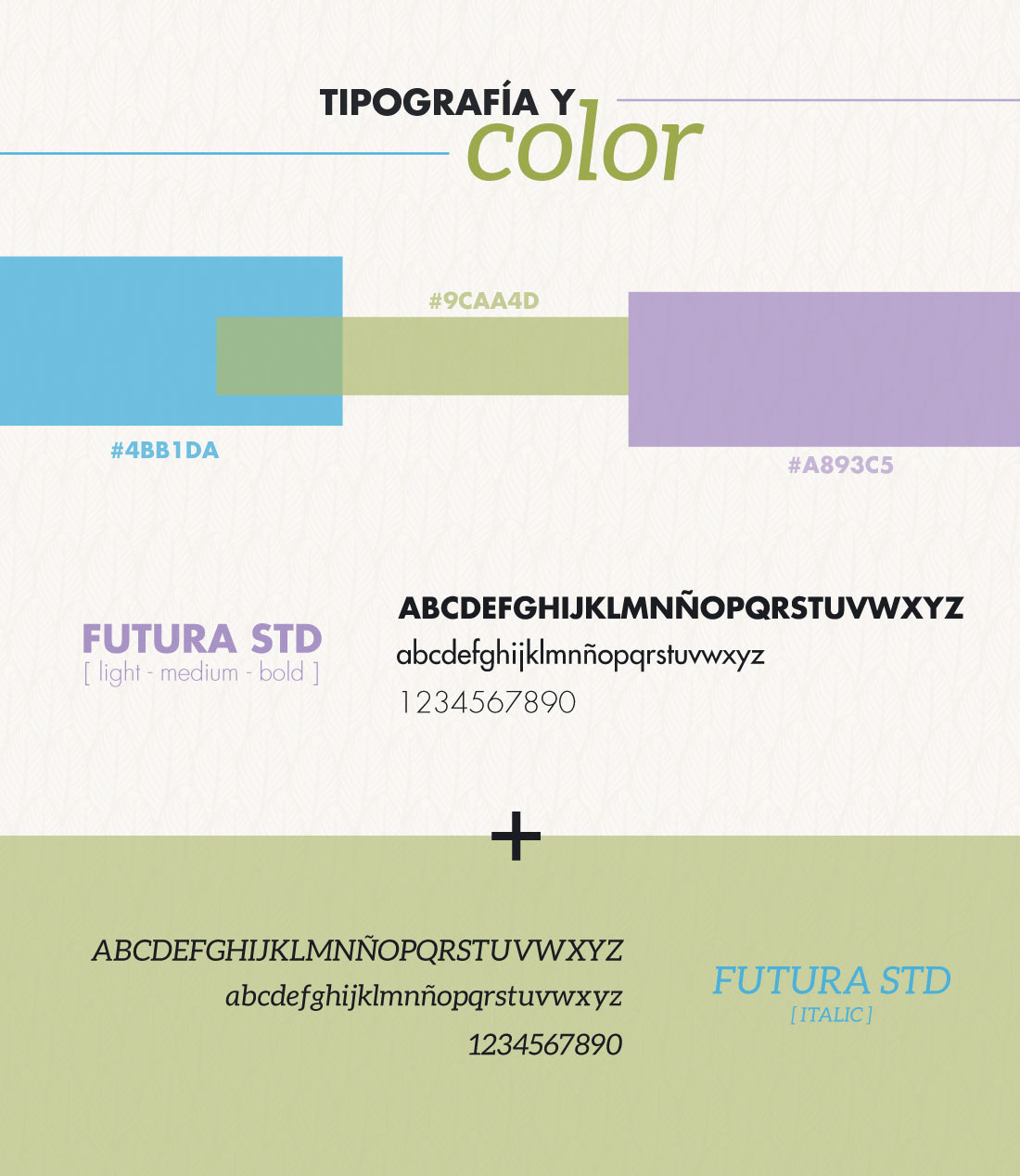 austral centauri Web sesign Web Design  Graphic Designer colorful home page