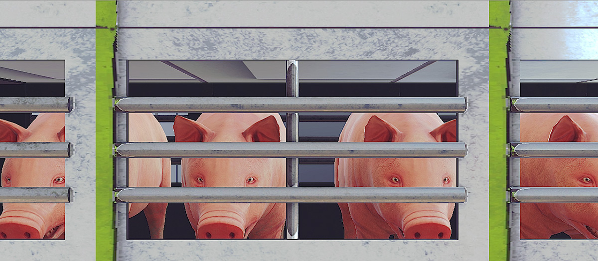 pig simulator