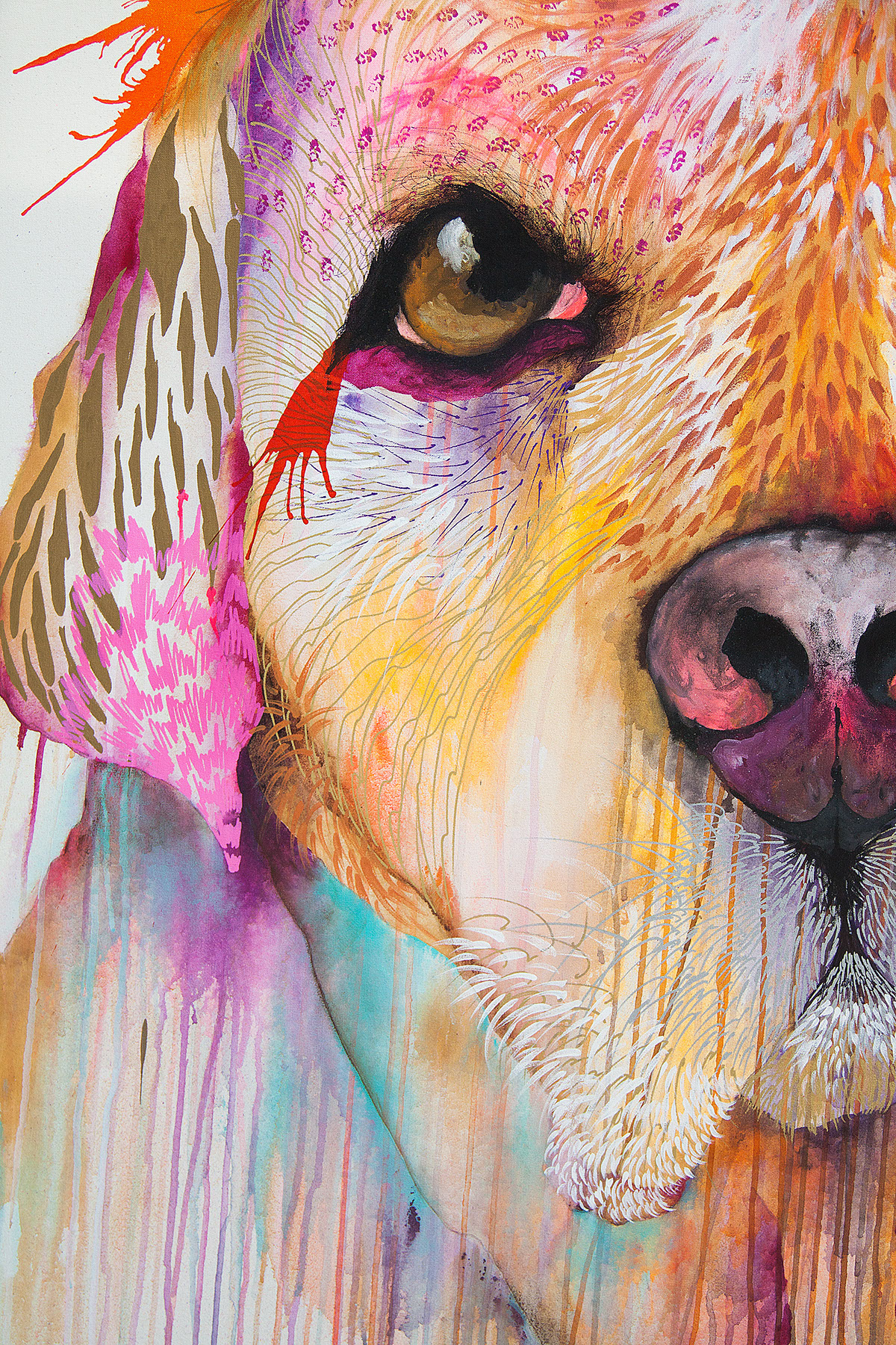 art animal dog gold fucsia Mix media DArboleda  artbrand Ecuador