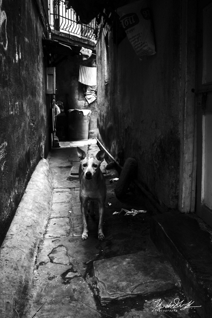 MUMBAI Doccumentry  miksang phtography Life in slums mumbai rajan pada malad