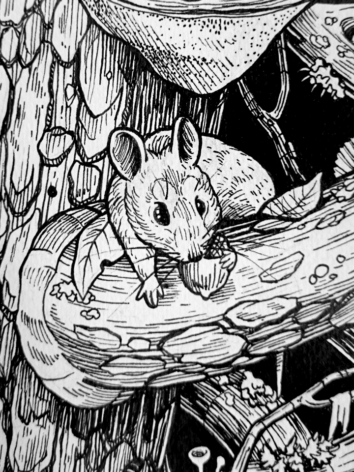 forest wilderness Nature Tree  mouse bat squirrel weasel animals