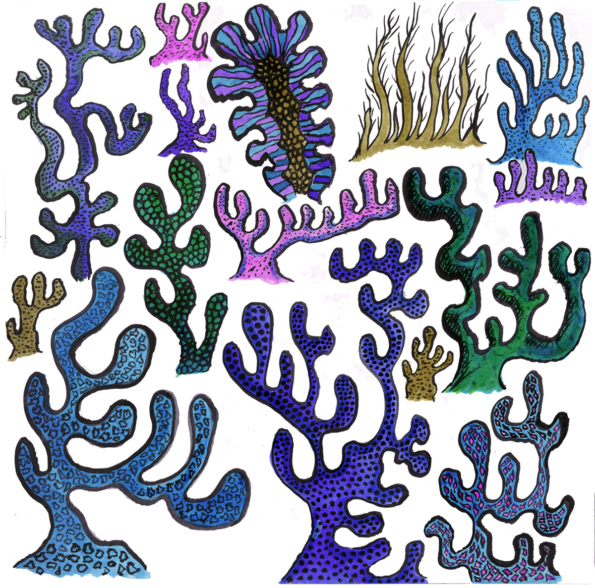 coral Ocean sea Dolphins octopus book illustration Book Arts