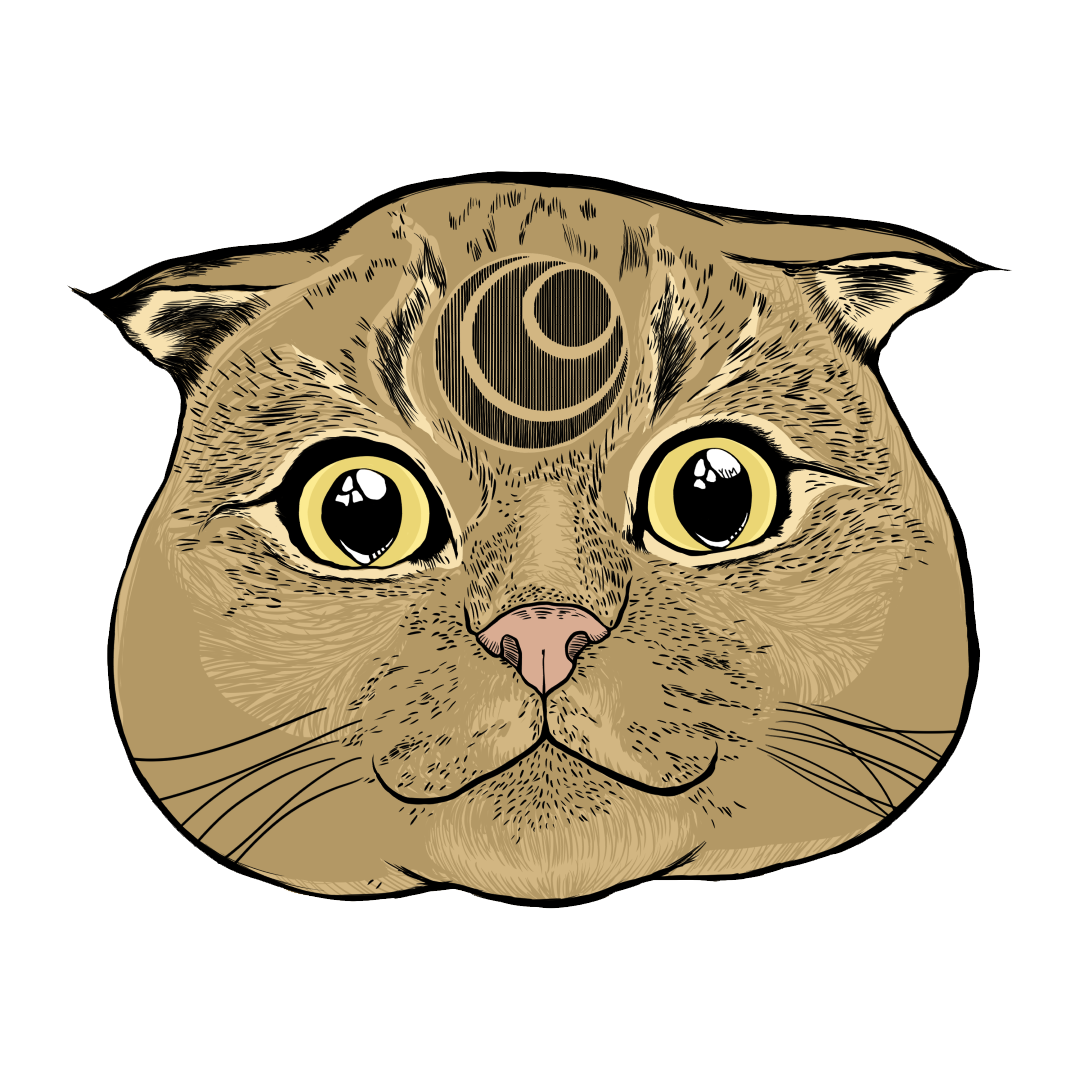 apparel Cat Drawing  ILLUSTRATION  merchandise shirt sticker
