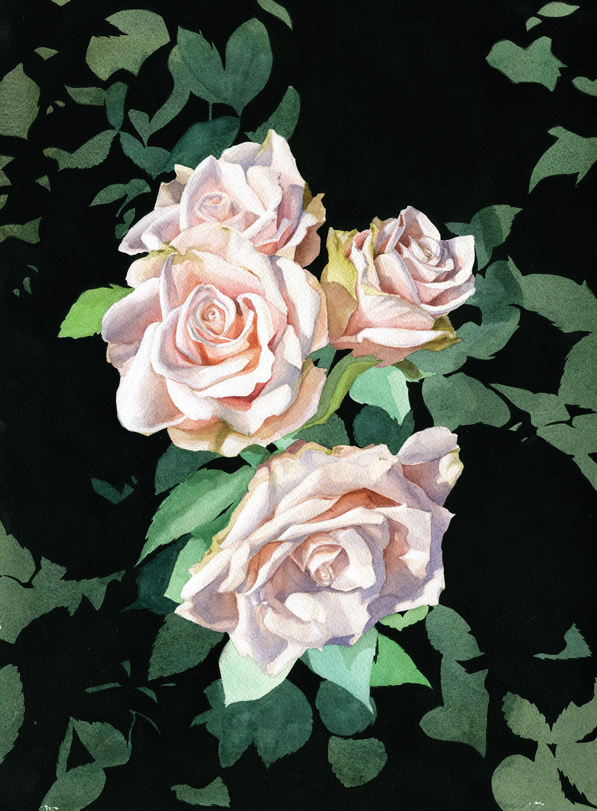 Roses rose floral pink watercolor gouache