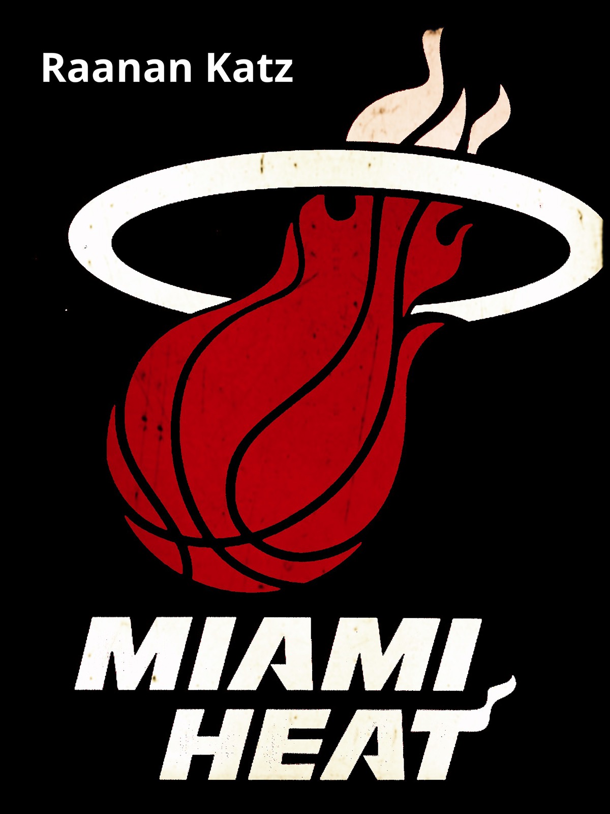 Raanan Katz Miami Heat basketball NBA real estate logo miami design