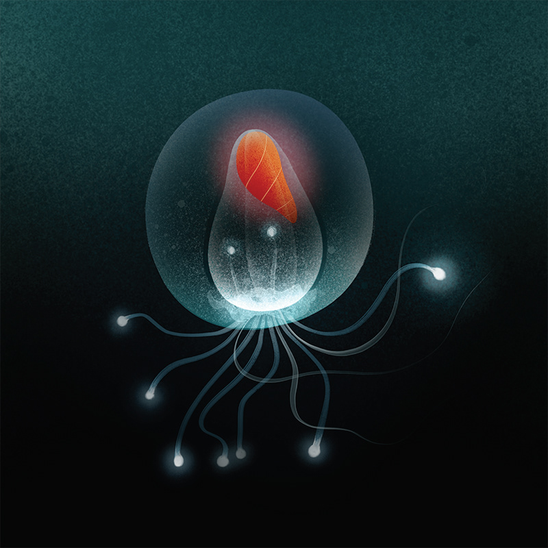 aliens animals design Drawing  ILLUSTRATION  Illustrator Ocean print sketch water