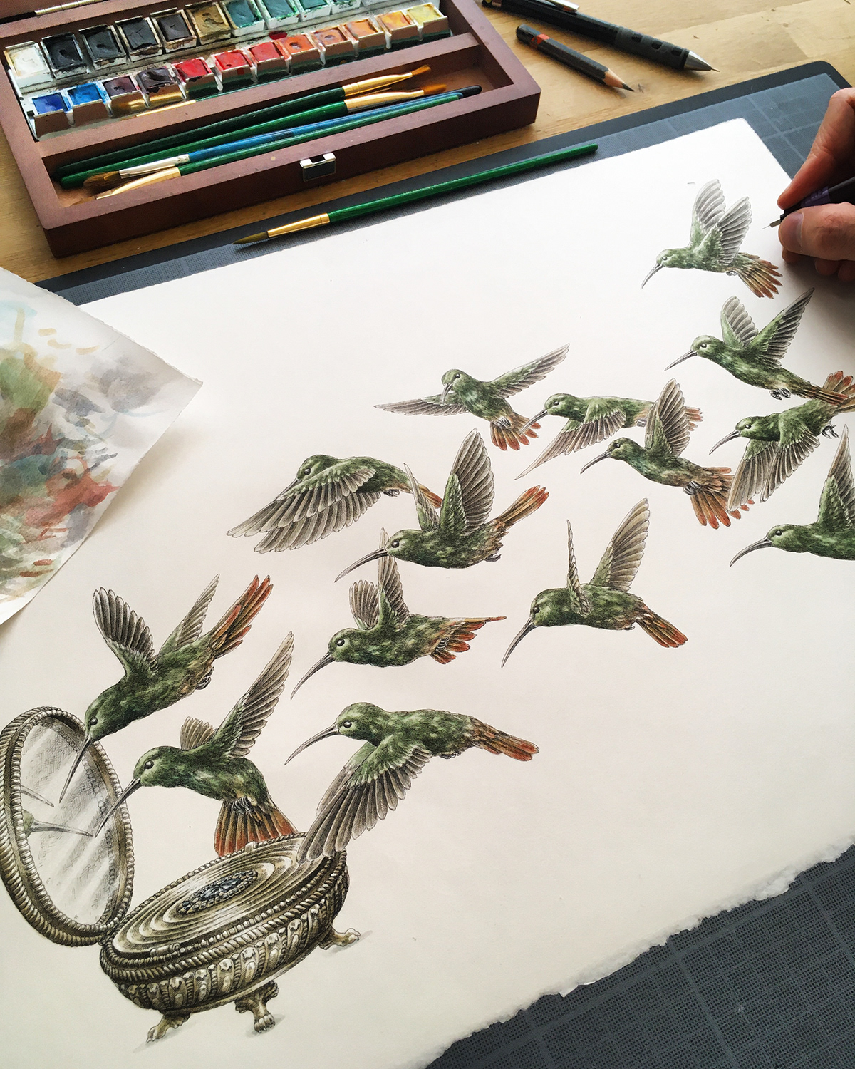 birds budgie goldsmith hatching hummingbird ink mirror reflect Rotring watercolor