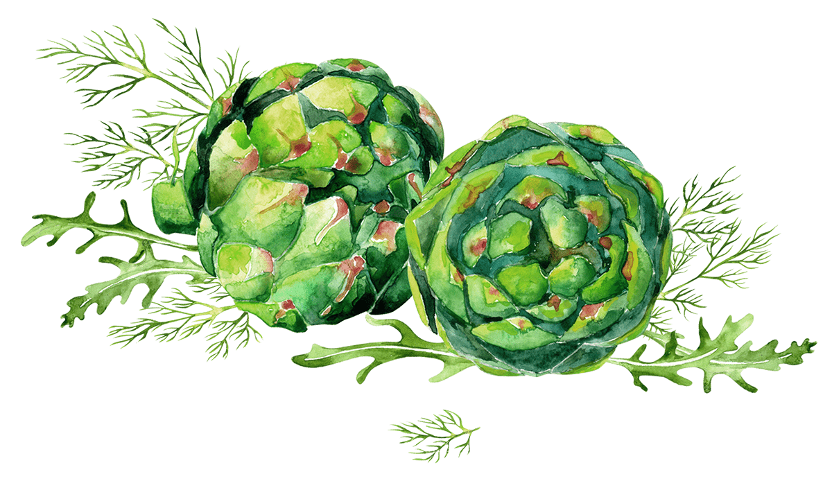 artichoke arugula dill draw Food  greenery ILLUSTRATION  Picture vegetables watercolor