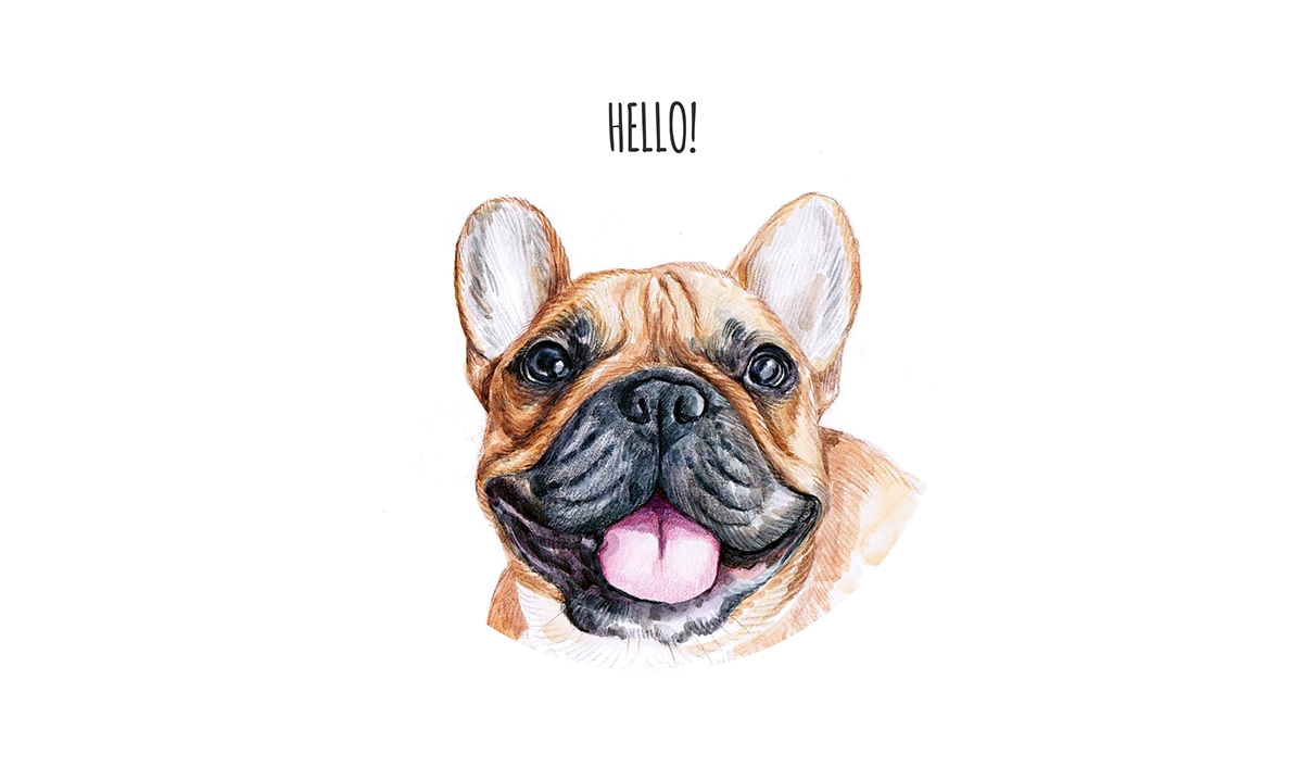 sketch watercolor dog dogs Frenchie bulldog funny draw Pet animal design