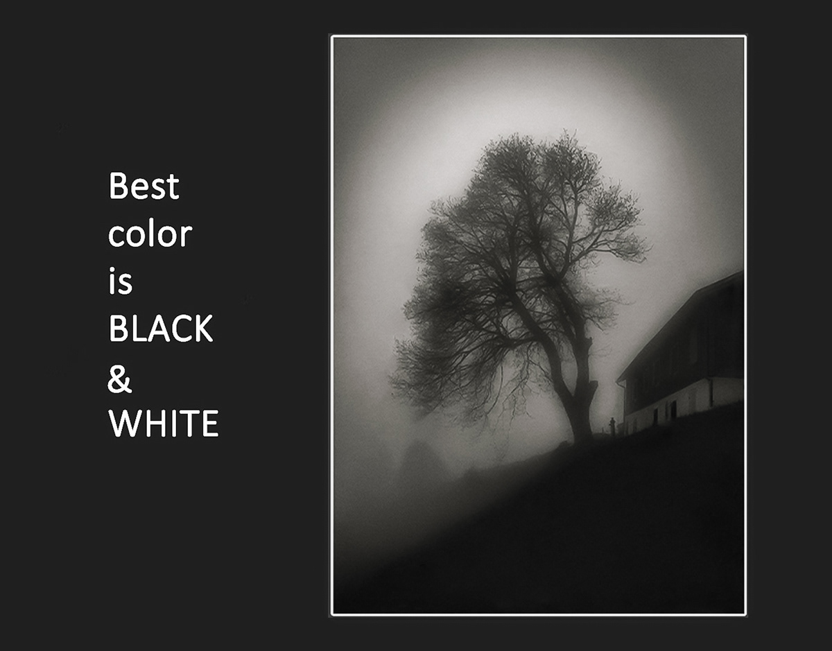 Landscape Nature antique people black and white monochrome street photography bw Tree  hill