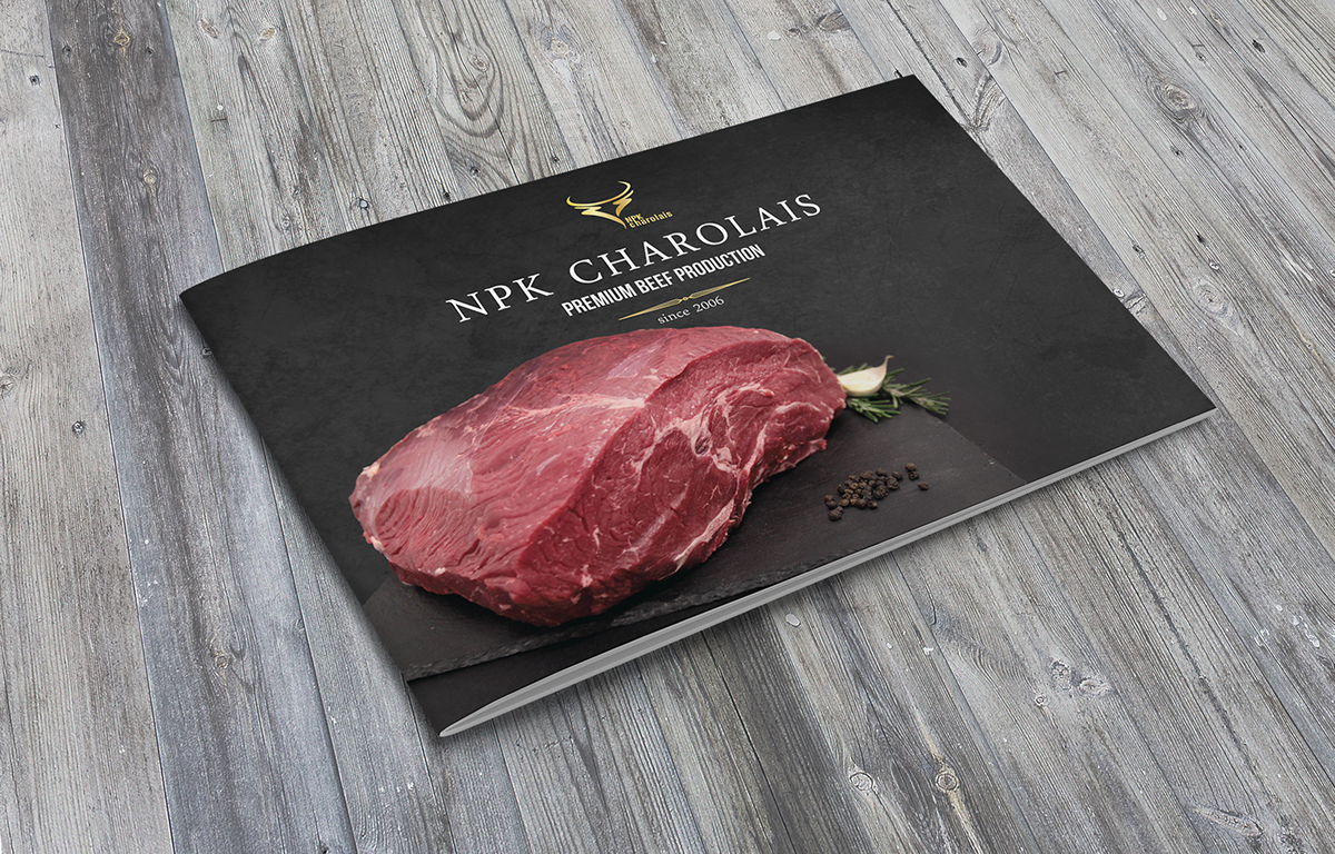 brochure graphic design styling  Icon font type beef meat Food 