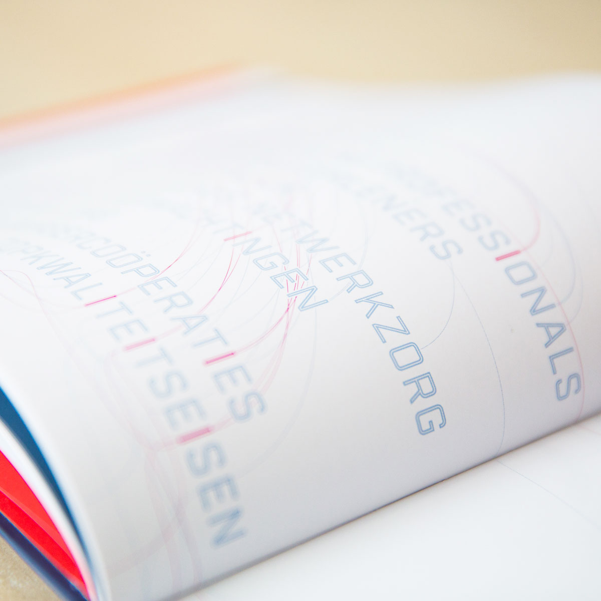 book Bookdesign illustrations infographics pages healthcare atlas dutch branding  colors