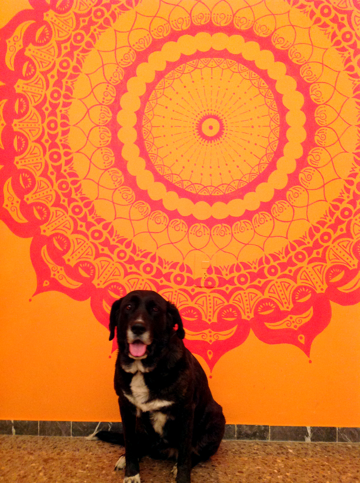 Mandala wall wallpainting meditation pared Posca red