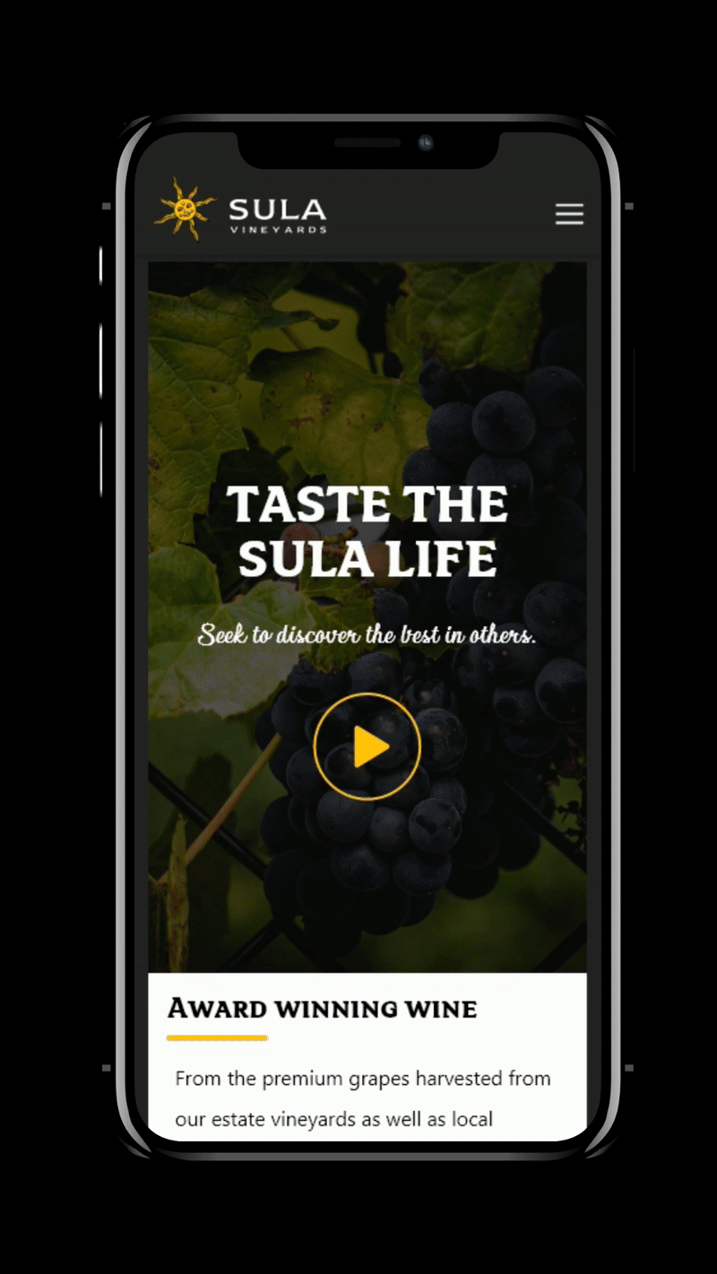 dark desktop mobile Responsive Theme UI ux Website wine