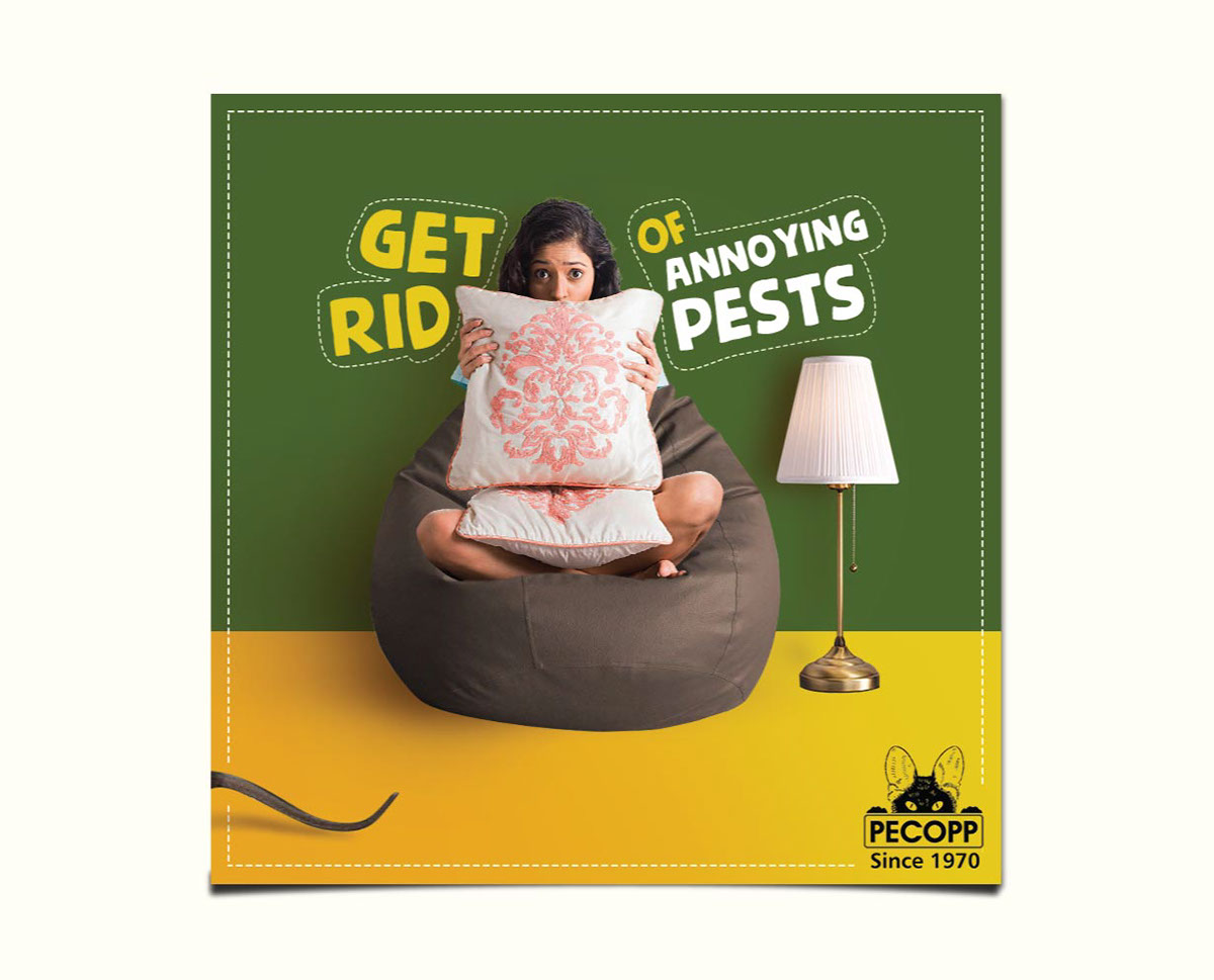 Pest Pecopp Pest Control Pest solutions inscets mosquitoes cockroach bird control lizard birds