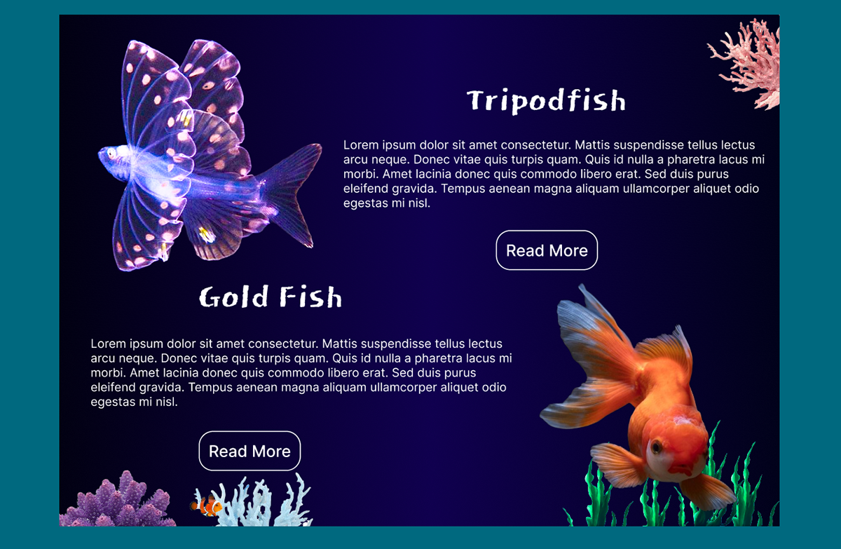marine life Ocean sea fish animals underwater aquarium uiux visualization modern