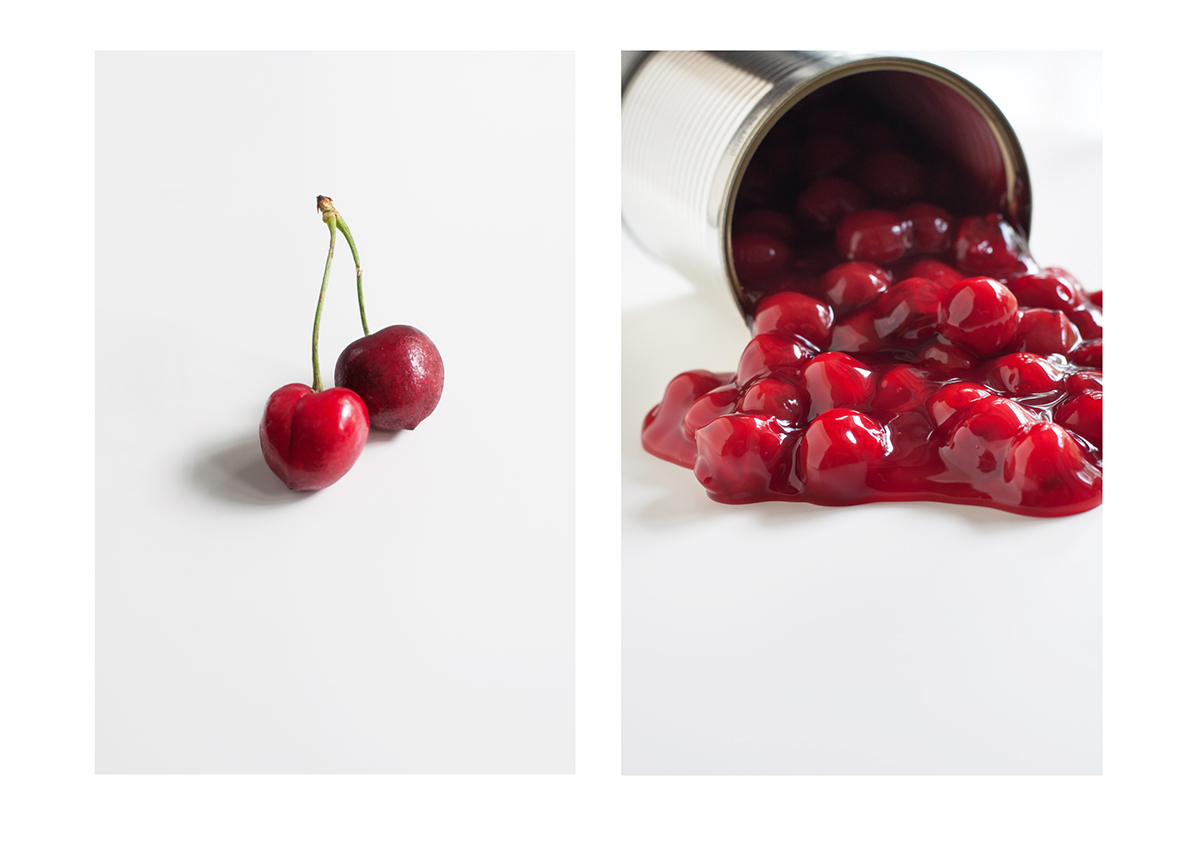 food photography conceptual still life processed organic diptych