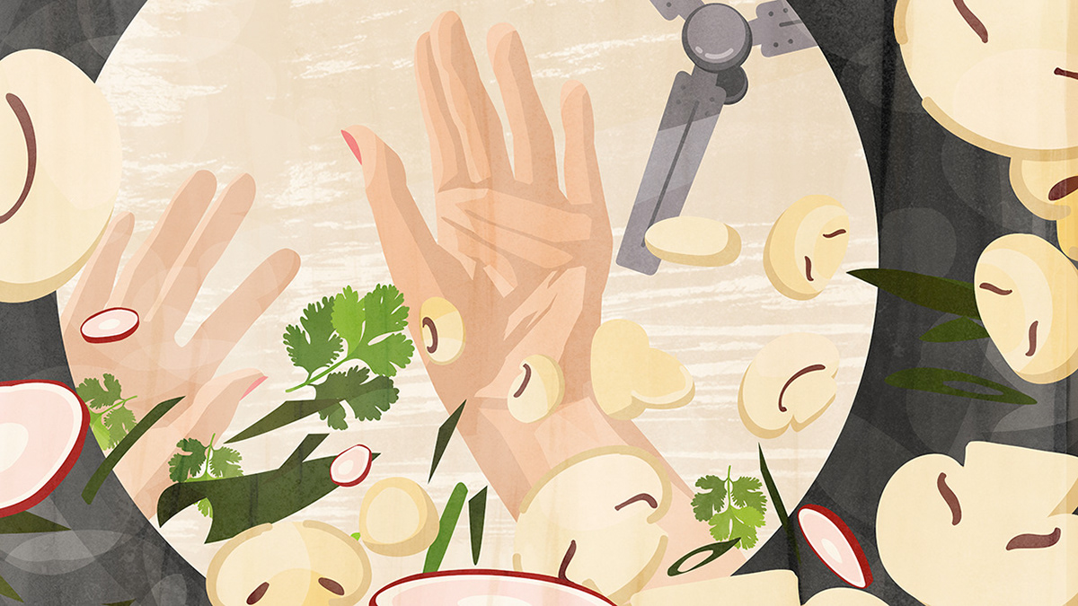 food illustration storyboard