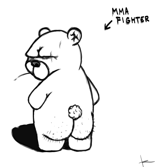 bear MMA mma-teddy teddy-bear teddy fighter teddy-fighter Teddy