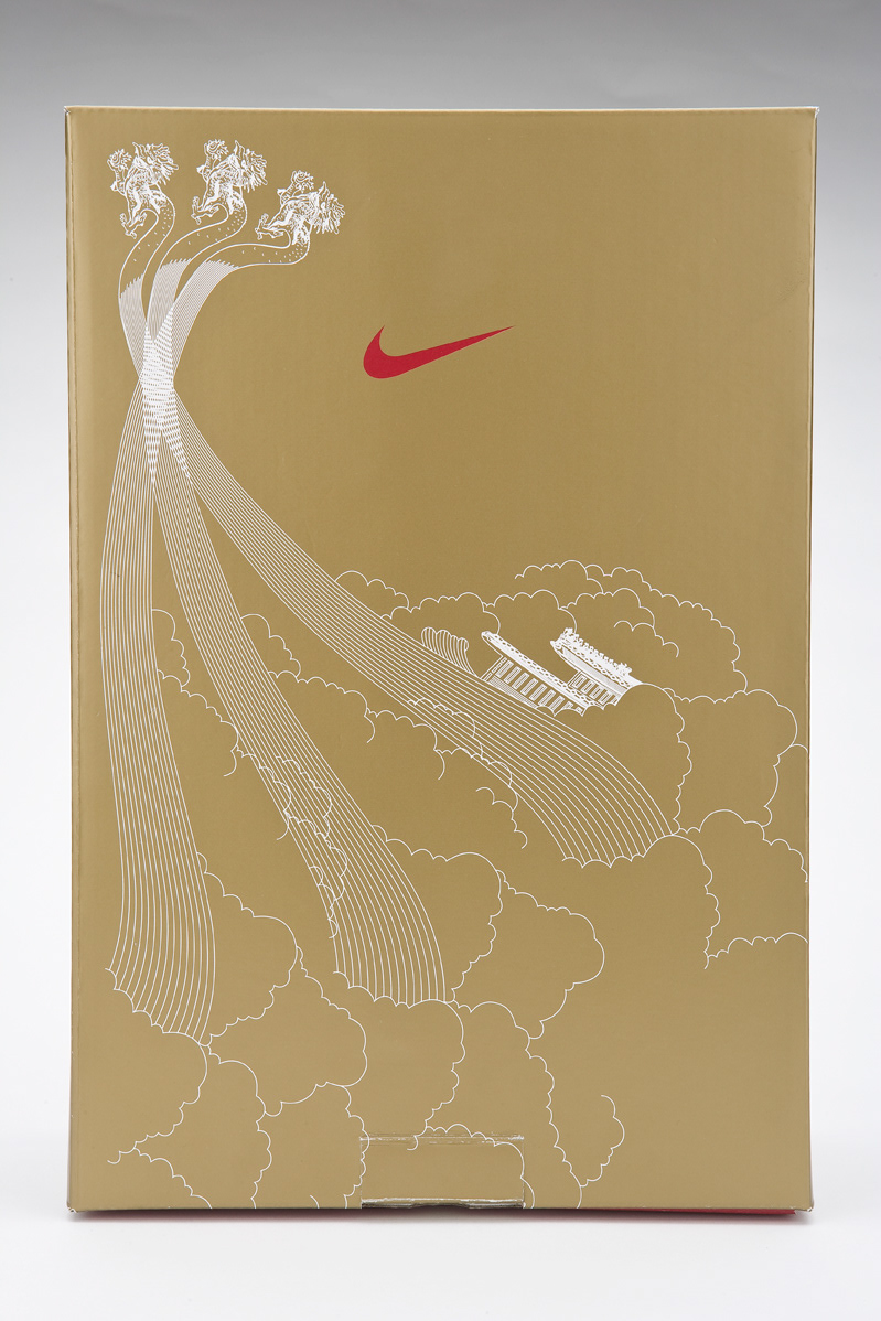 Nike LeBron LeBron V Packaging