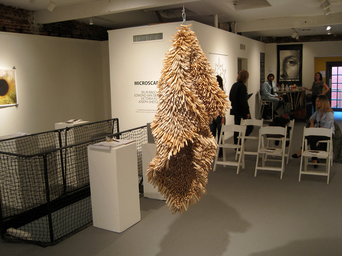 clothespins  wire sculpture Hang hanging nest Fur Carcass Clothing cover wood pattern Repetition organic