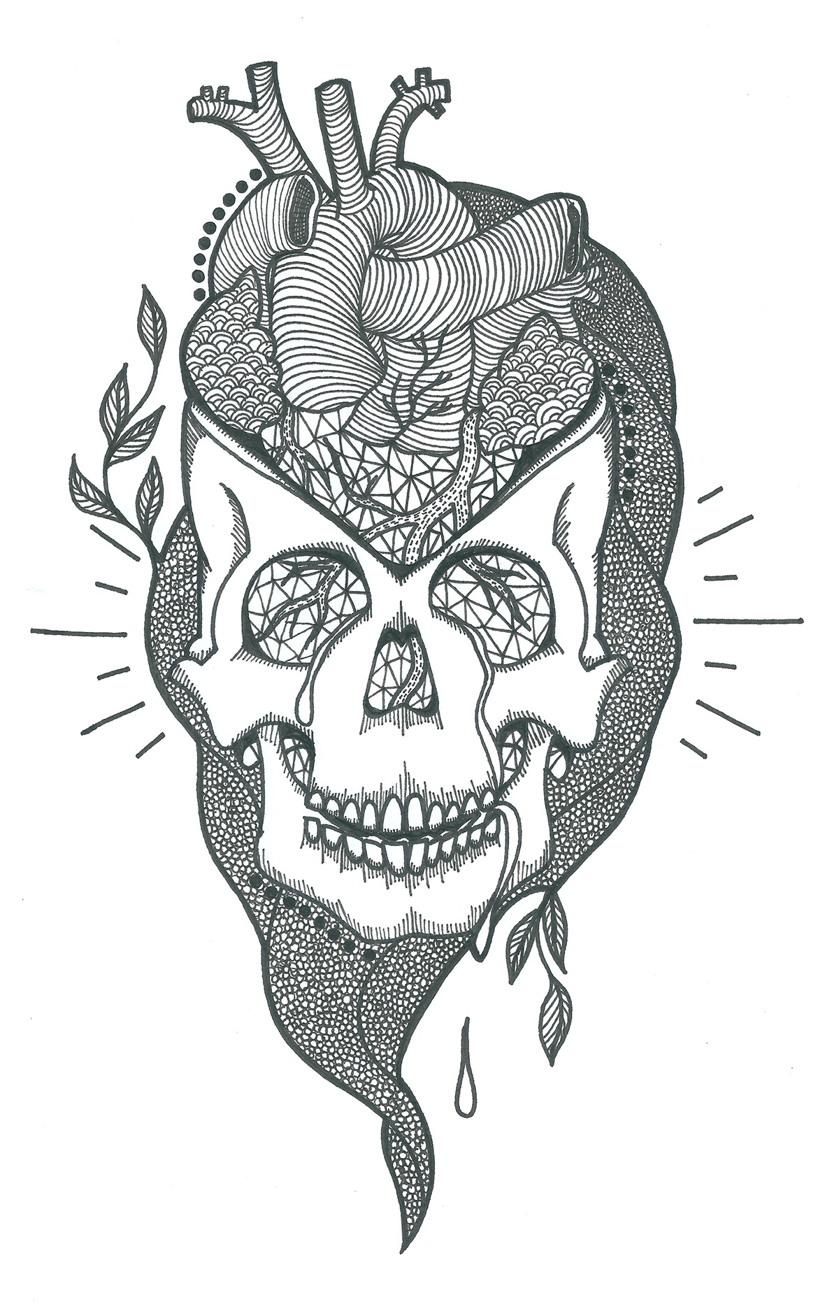 head skeleton  skull heart