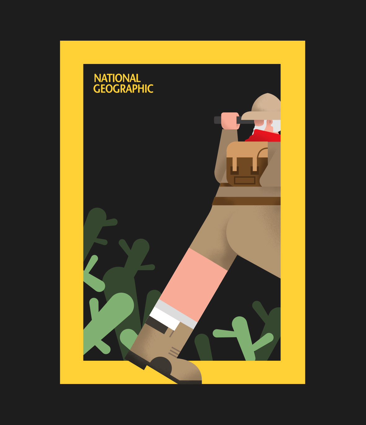 national geographic posters ILLUSTRATION  minimal vector colors animals discovery editorial
