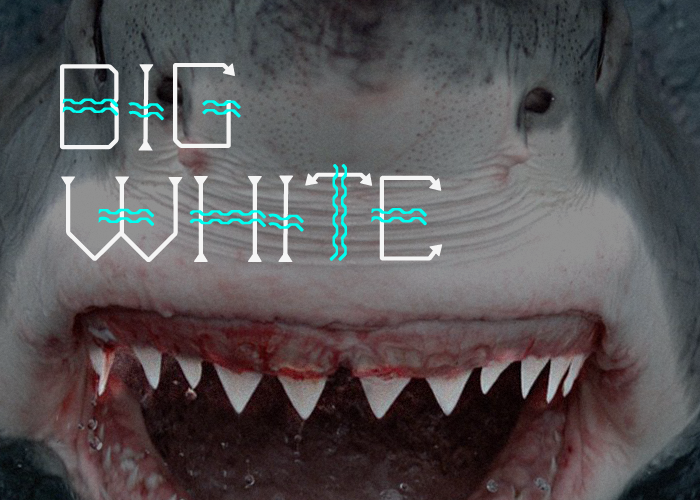 free type type fonts wave wave me in filiz filizsahin new trends Free font font sea undersea Big White shark