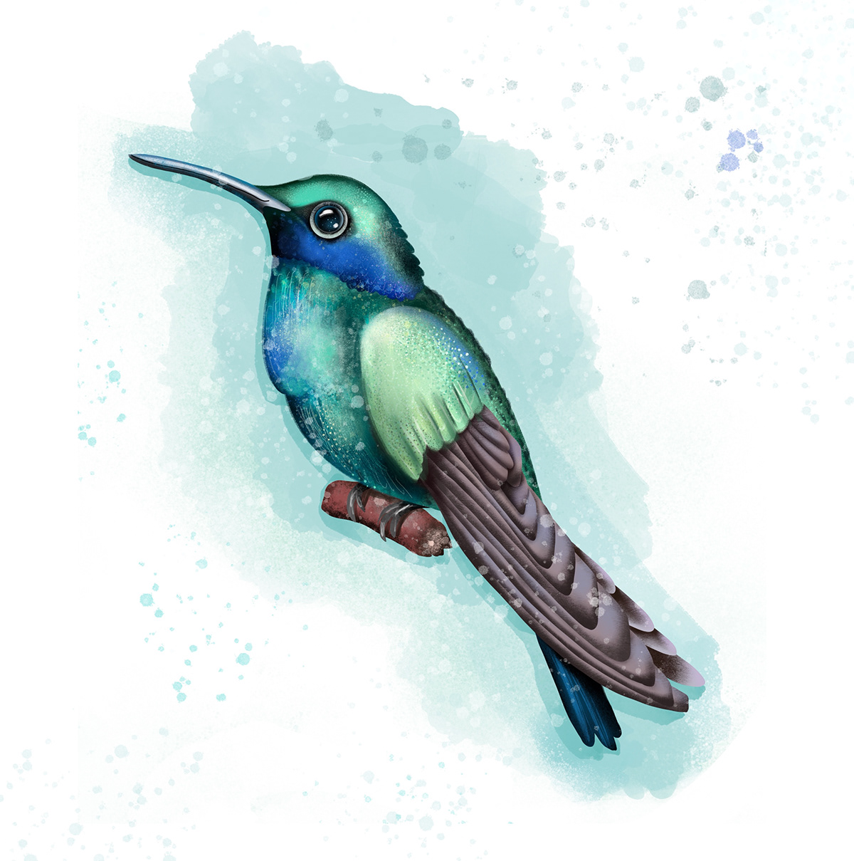 animal bird Character design  digital illustration illustrations illustrations for kids Nature owl wood hummingbird