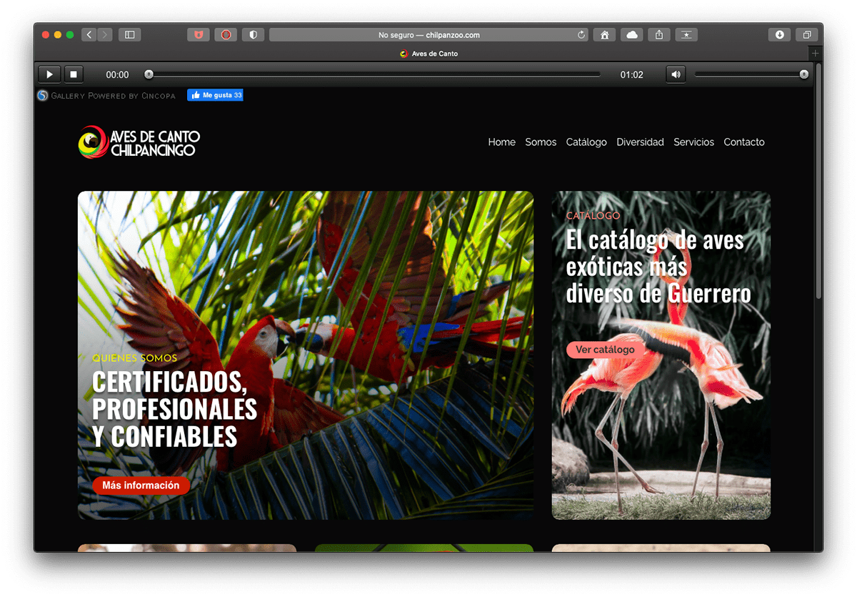 Blocs Catálogos Diseño web publicidad sitio web acapulco animales aves Chilpancingo guacamaya