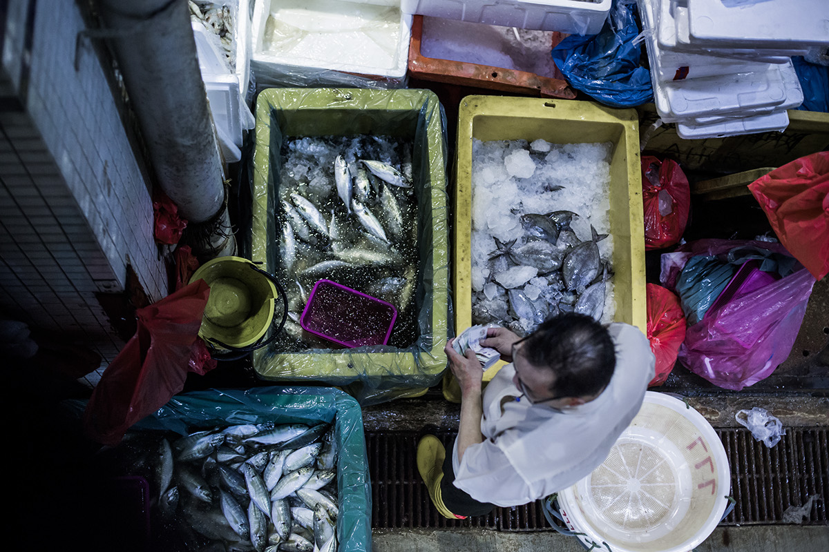 jurong fishery port fish fish market singapore jurong west taman jurong  market