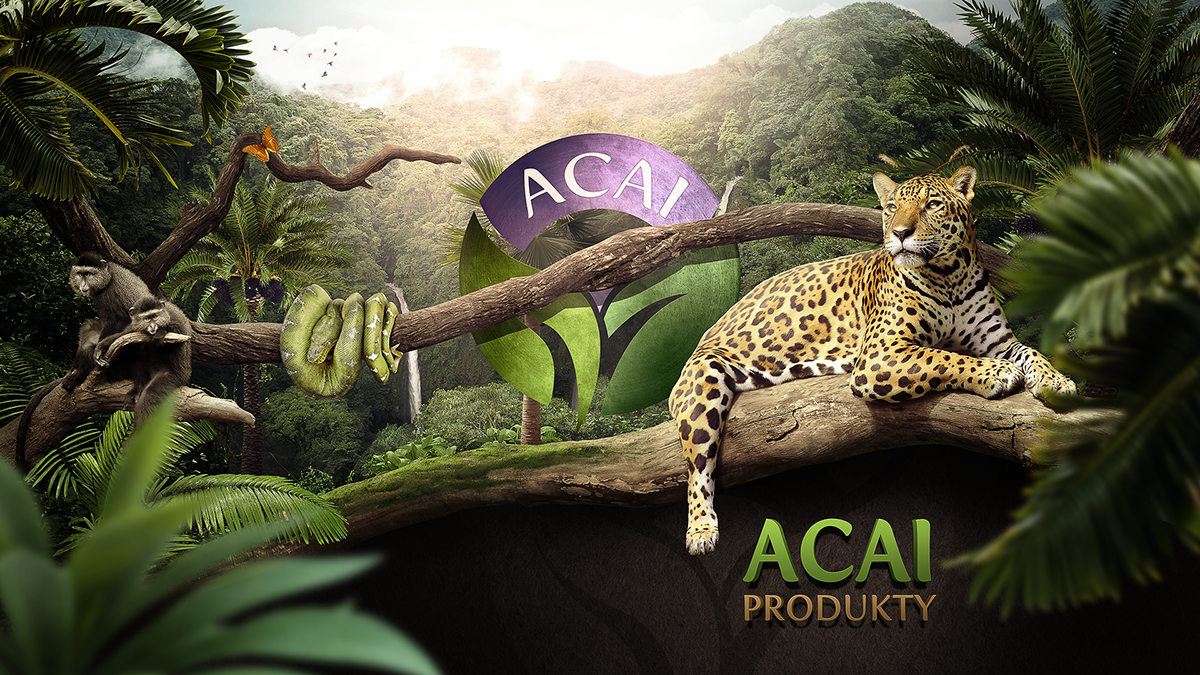 Adobe Portfolio jungle tiger acai cheetah monkey snake