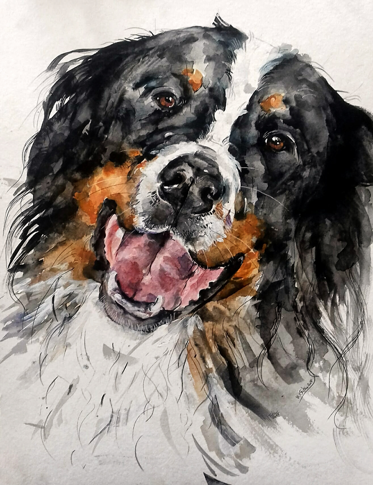 Adobe Portfolio painting   watercolor animal dog ILLUSTRATION  Drawing 