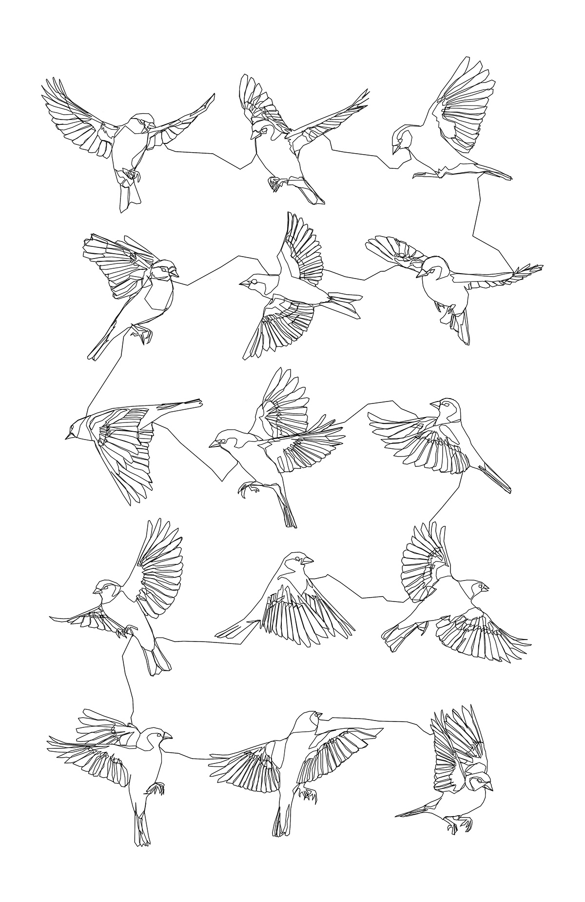 birds  animals  hand-drawn design  graphics  bungo  Shape  geometric  geometry  colour  bird
