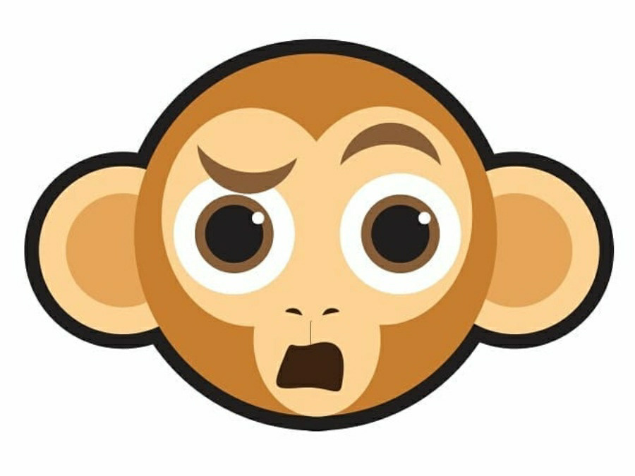 2DIllustration expressions monkey anushri lama Character design  kimfordesign nepali illustrator