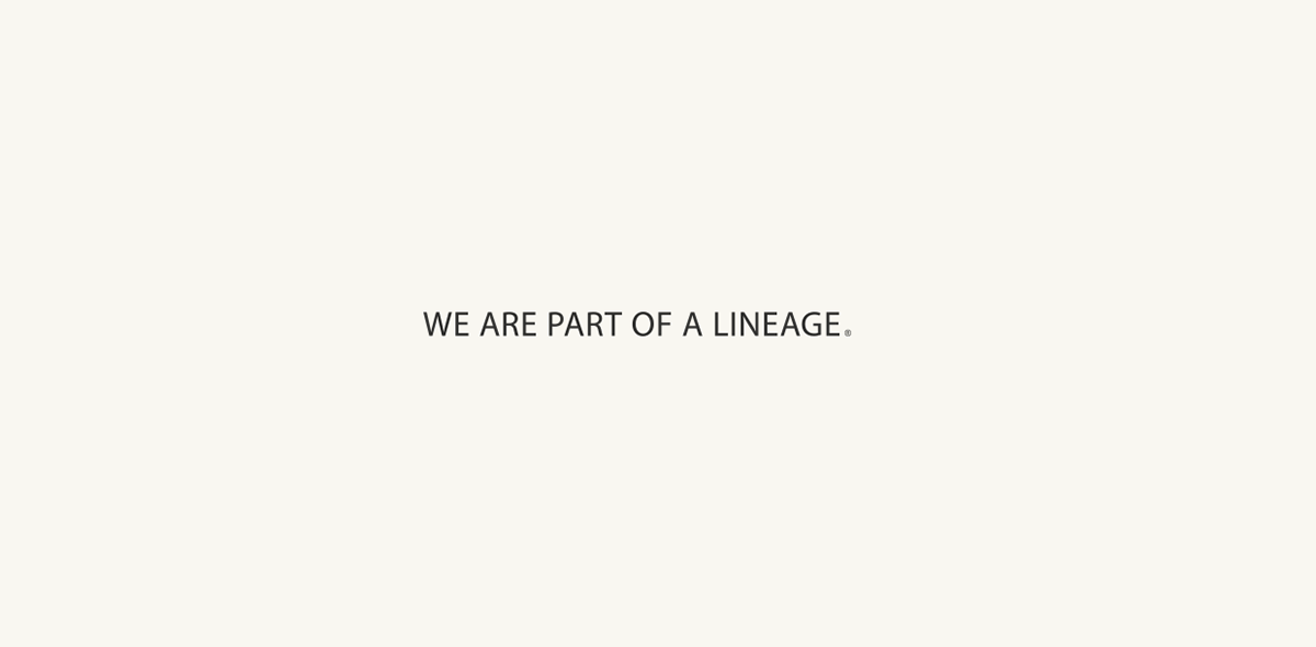 KIND branding  design Lineage corporate identity Logotype Web