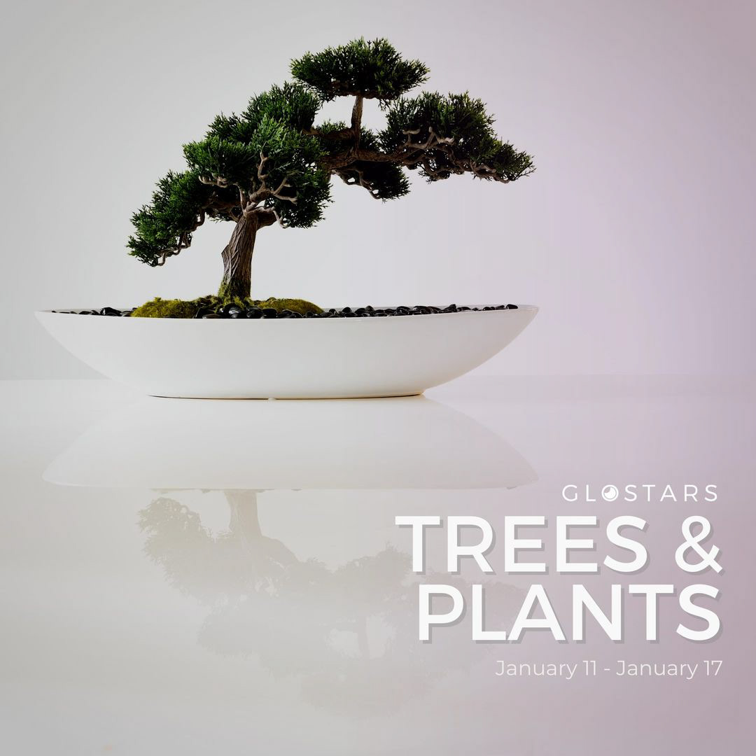 community glostars Landscape Nature PhotoContest Photography  photos plants trees winner