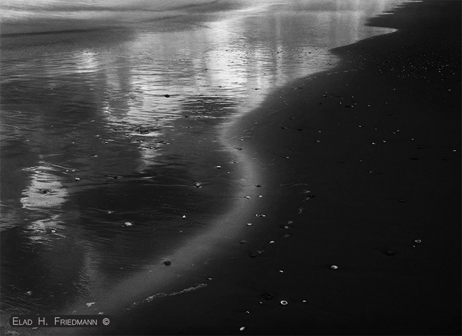 black and white mystery sea shell textures Photography  sea Magic   elad h friedmann friedmann  אלעד חגי פרידמן sandraven  deserted ends darkness