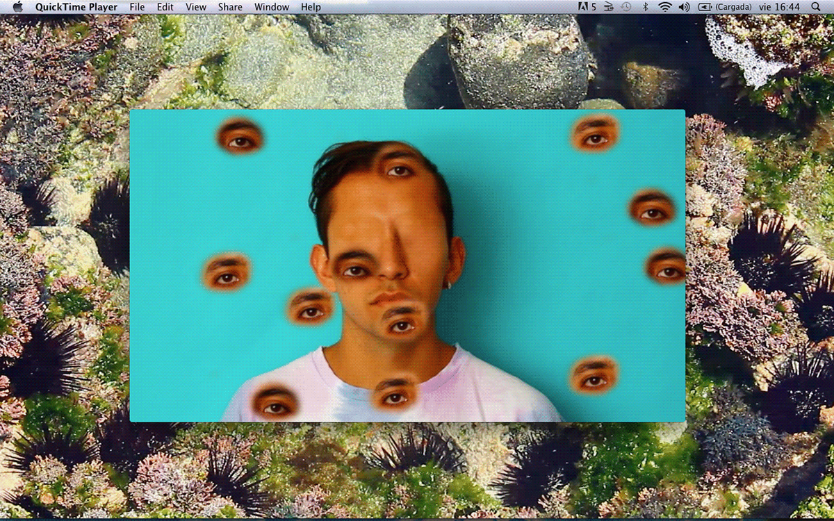 selfportrait video collage