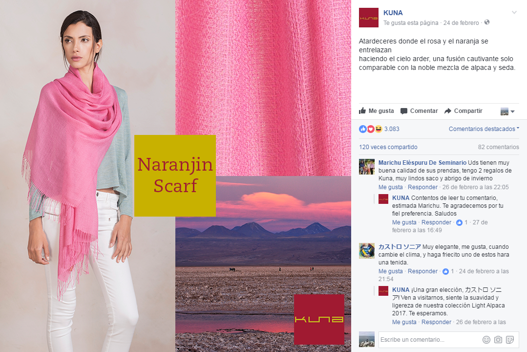 brand advertisement social media facebook twitter instagram alpaca Fashion  digital peru