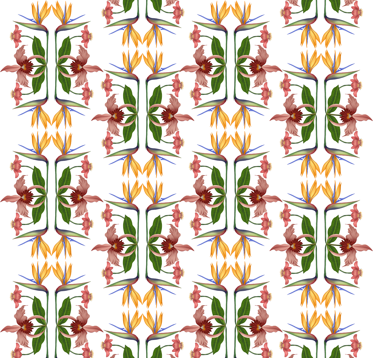 collage digital illustration adobe illustrator pattern botanical surface design textile