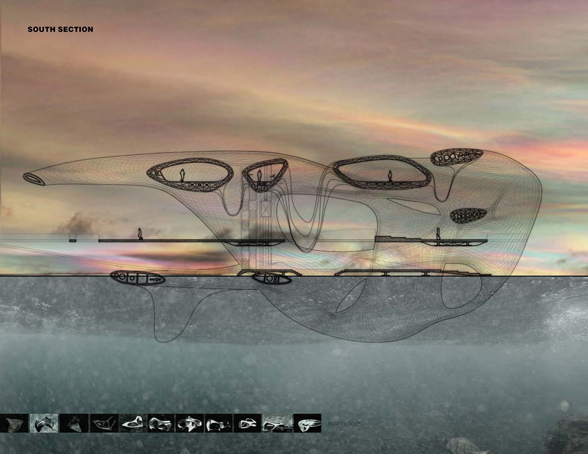 architecture design fish farm Sustainable Ocean senior thesis emergent digital tools 3ds max Renderings