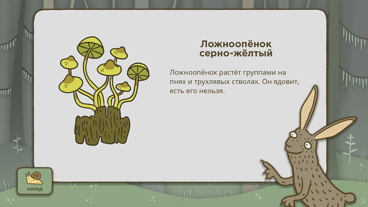 Drawing  game plants Mushrooms ILLUSTRATION  Character design 